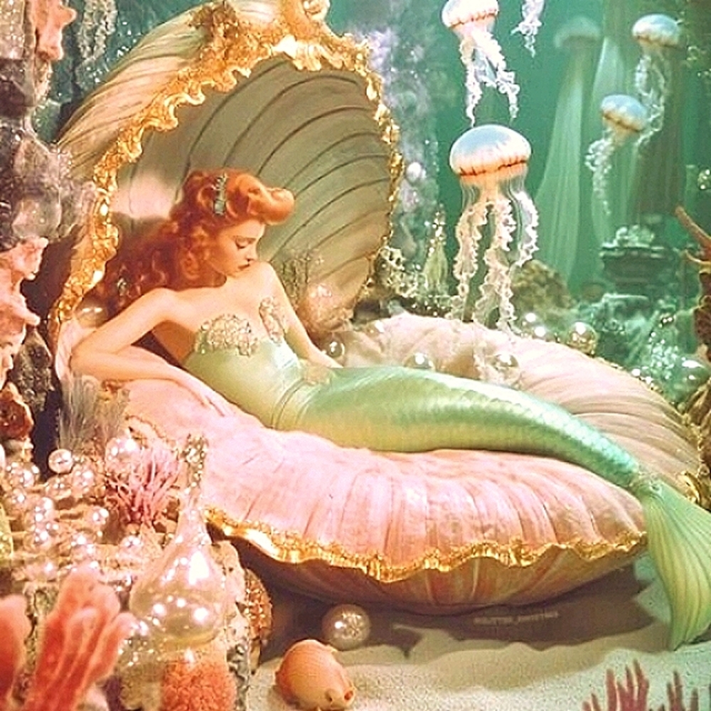 Welcome to my Scarlett Reign Closet
